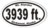 3939 Custom Oval Bumper Stickers